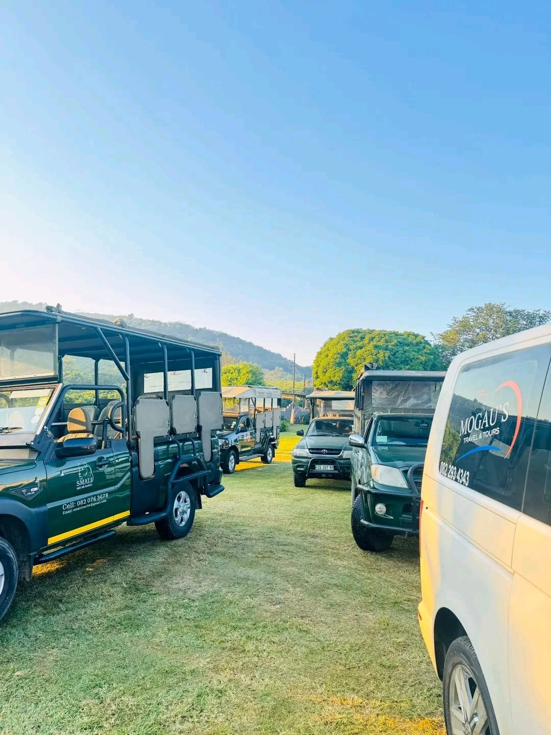 Luxury Safari Tours